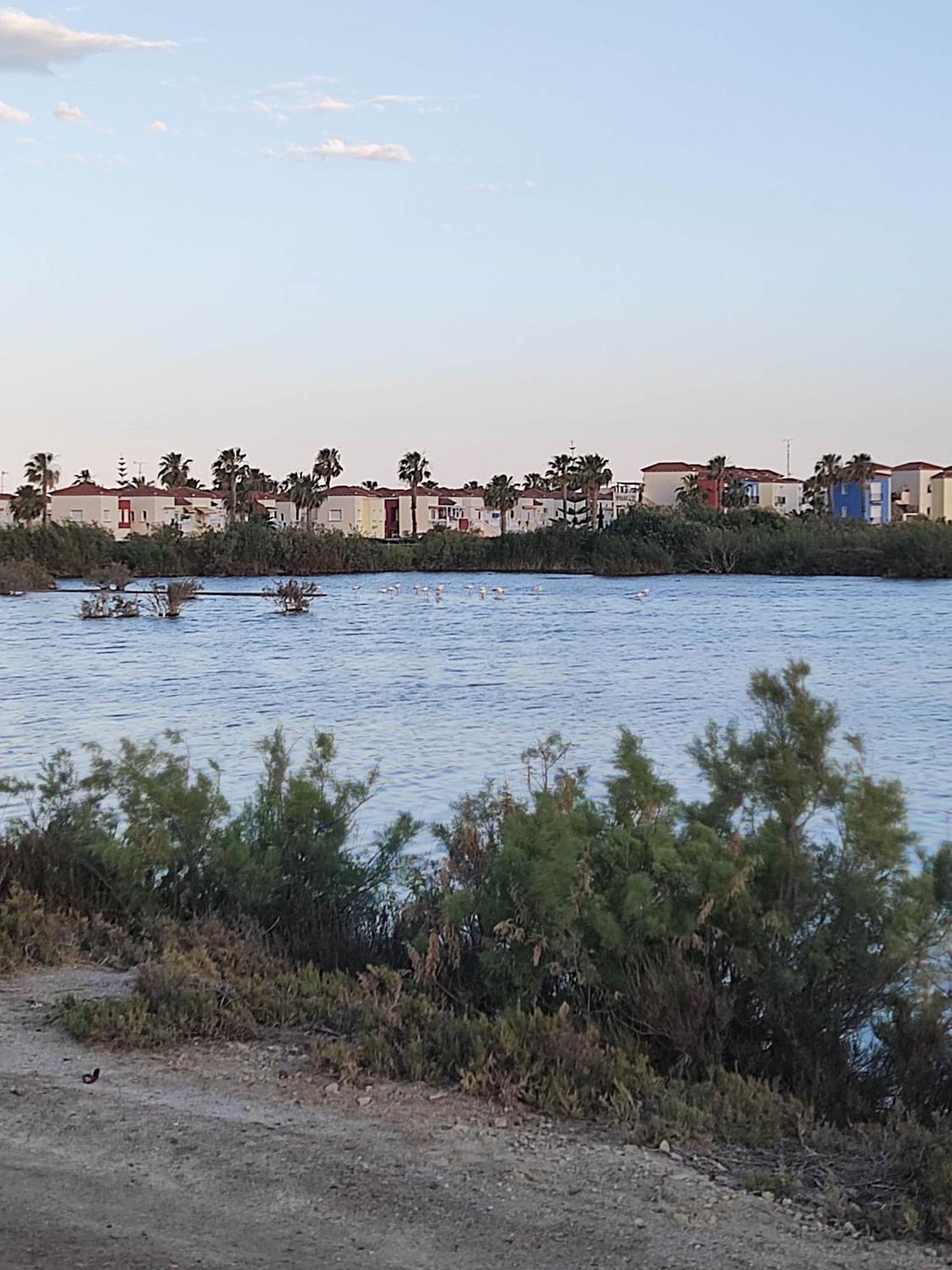 El Mirador De Torremari - Nudista - Vera Playa מראה חיצוני תמונה